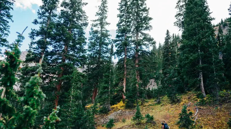 How To Prepare For A Comfortable First Backpacking Trip