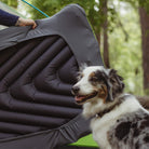 V Sheet, Green/Gray Luxe, Lifestyle Dog