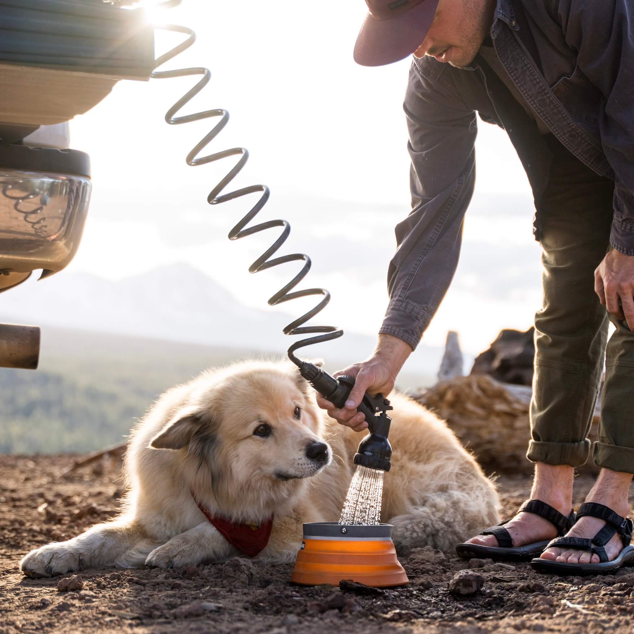 WaterPORT 4.0 Gallon Water Tank, Black, Lifestyle Filling Dog Bowl