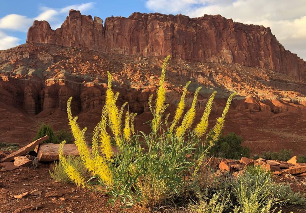 Nine Underrated Mountain West Parks to Visit This Fall