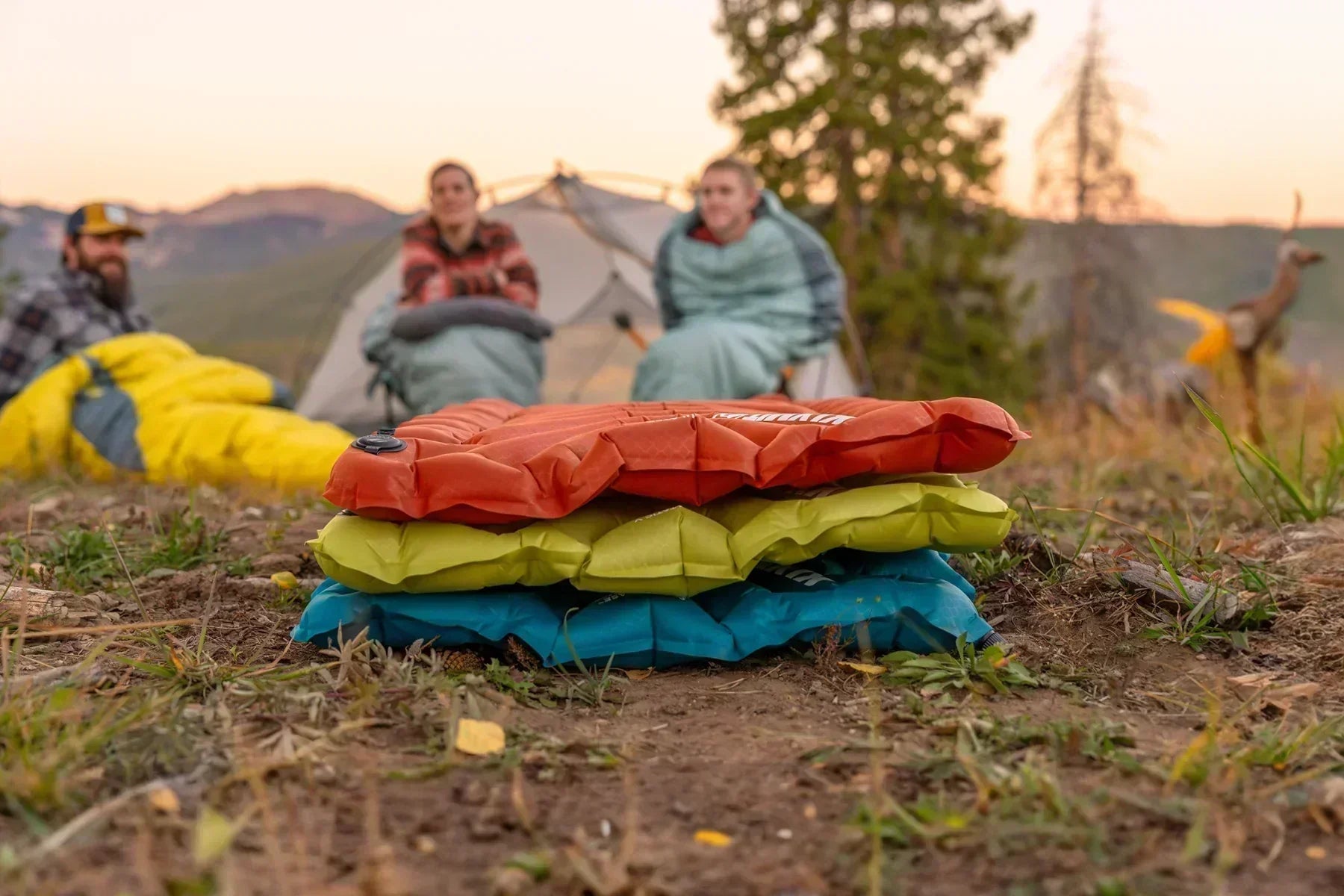 How to Choose the Right Performance Tier: Base, Summit, or Peak