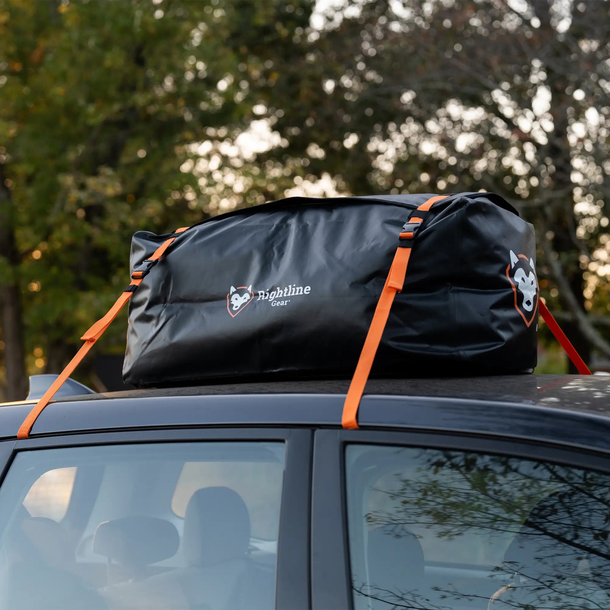 Cargo Storage